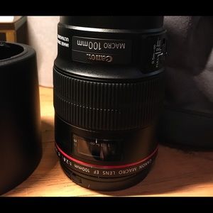 Canon EF 100mm f/2.8L Macro IS USM
